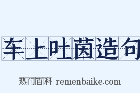 车上吐茵造句是什么意思的图片